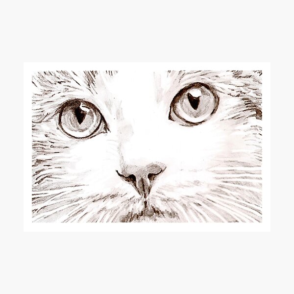 Photographic Print