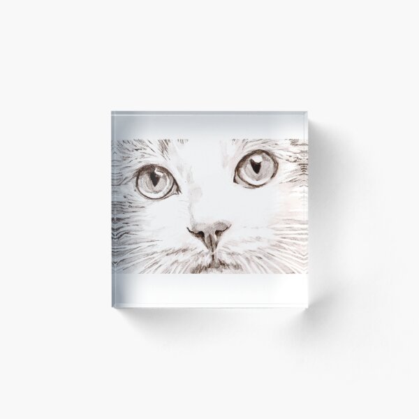 Acrylic Block