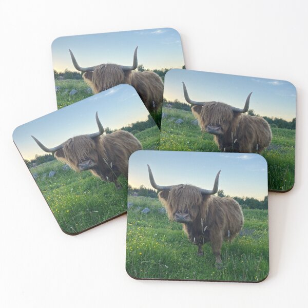 Item preview, Scottish Highland Cattle Cow 3377 designed and sold by SaarelaHighland.