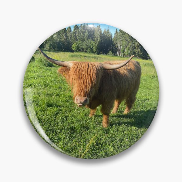 Artikelvorschau, Scottish Highland Cattle Cow 3378 entworfen und verkauft von SaarelaHighland.