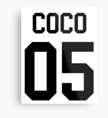 Coco 05 Metal Print