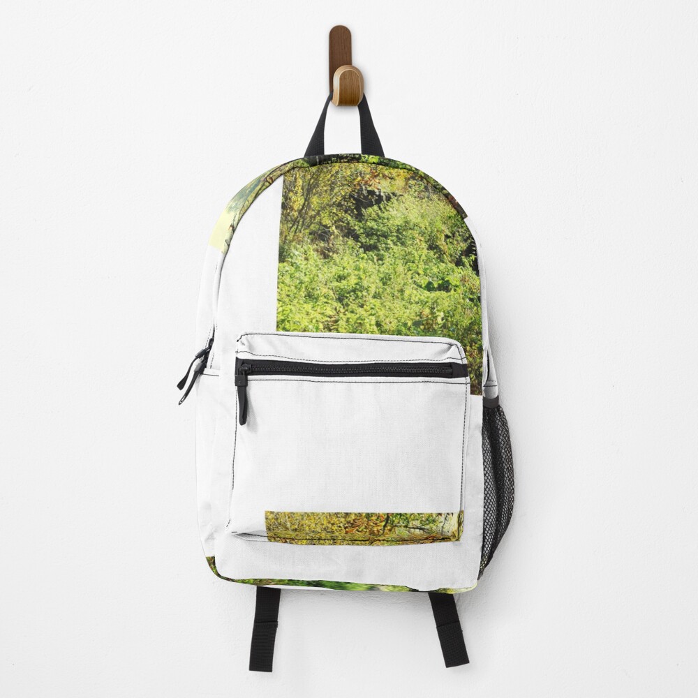 Item preview, Backpack designed and sold by Tableaux51.