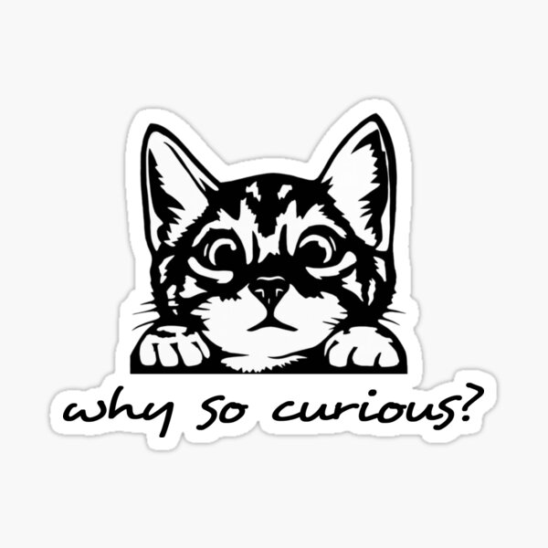 "why so curious? cat so curious" Sticker for Sale by myteerepublik Redbubble
