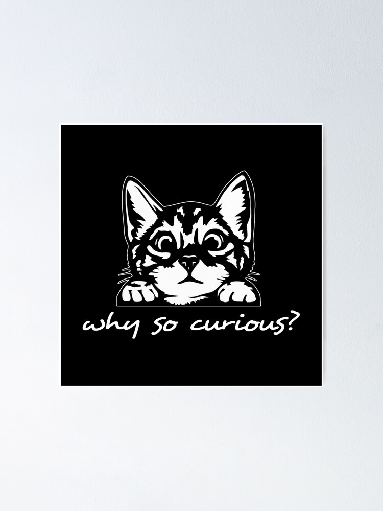 "why so curious? cat so curious" Poster for Sale by myteerepublik Redbubble
