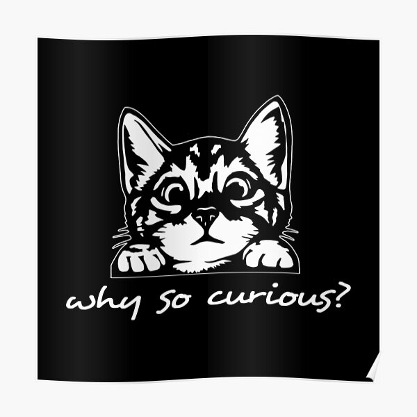 "why so curious? cat so curious" Poster for Sale by myteerepublik Redbubble