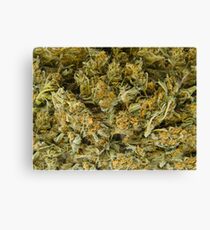 cannabis Canvas Print