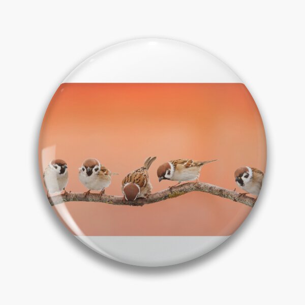 Item preview, Line of talking birds designed and sold by ShaStyle ArtFo.
