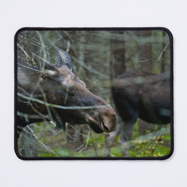 Item preview, Moose In Woods designed and sold by Michael Cummings.