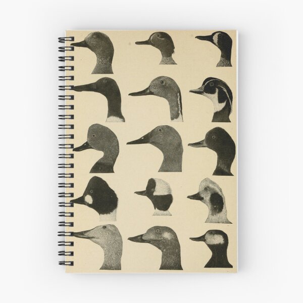 Item preview, Vintage Duck Heads designed and sold by BlueSpecsStudio.