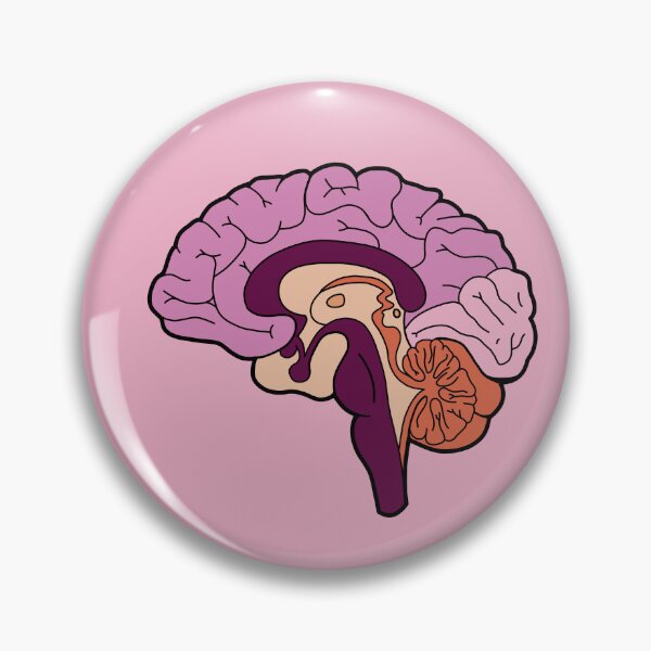 Item preview, Anatomical brain - purple and orange colors designed and sold by Preslava Genova.