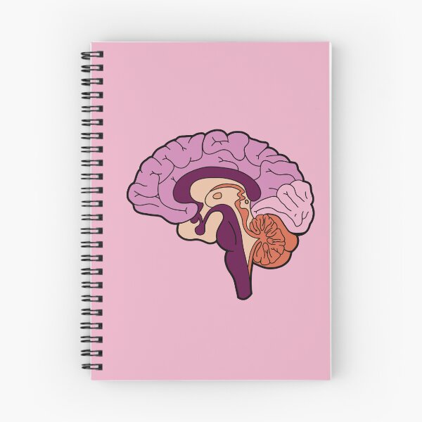 Item preview, Anatomical brain - purple and orange colors designed and sold by Preslava Genova.