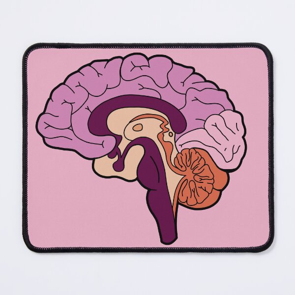 Item preview, Anatomical brain - purple and orange colors designed and sold by Preslava Genova.