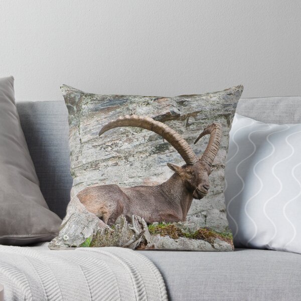 Item preview, Large Male Ibex designed and sold by Michael Cummings.