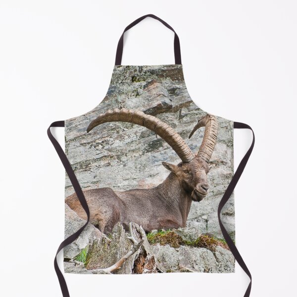Item preview, Large Male Ibex designed and sold by Michael Cummings.