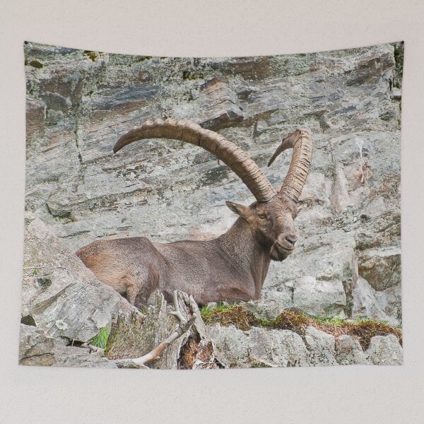 Item preview, Large Male Ibex designed and sold by Michael Cummings.