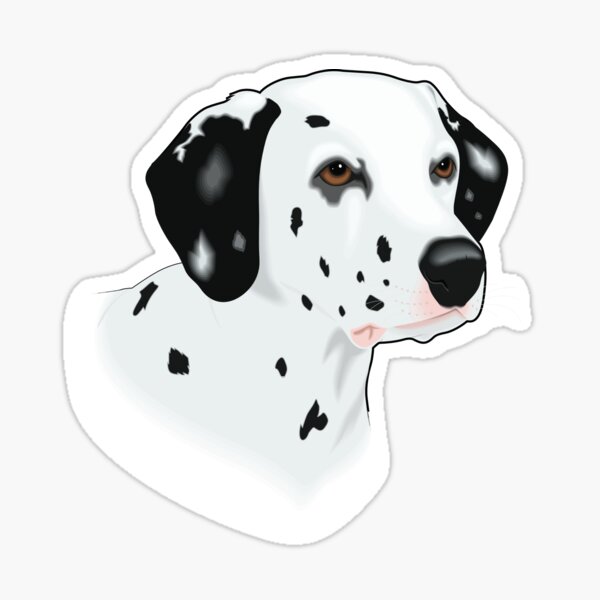 "Dalmatian dog" Sticker for Sale by CatOrDog Redbubble