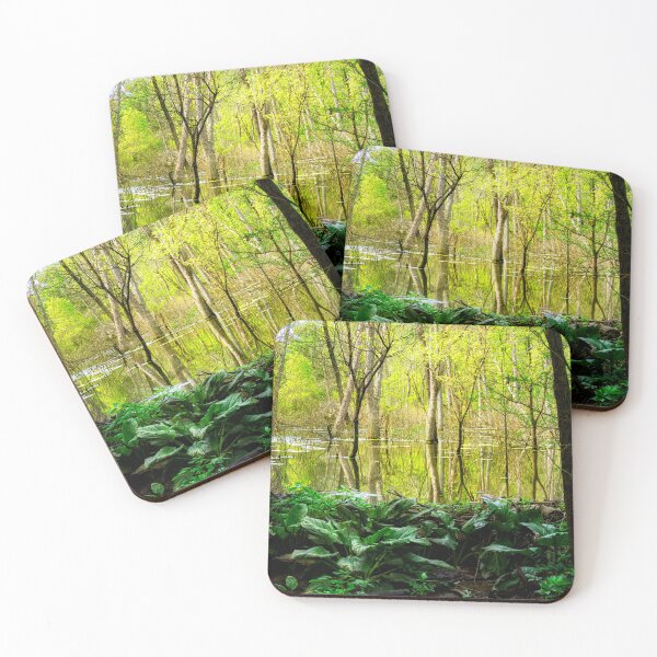Item preview, The Beaver Pond at Glen Helen - Ohio designed and sold by Kathy Weaver.