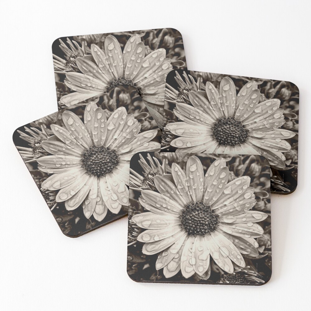 Item preview, Coasters (Set of 4) designed and sold by ImageEvolution.