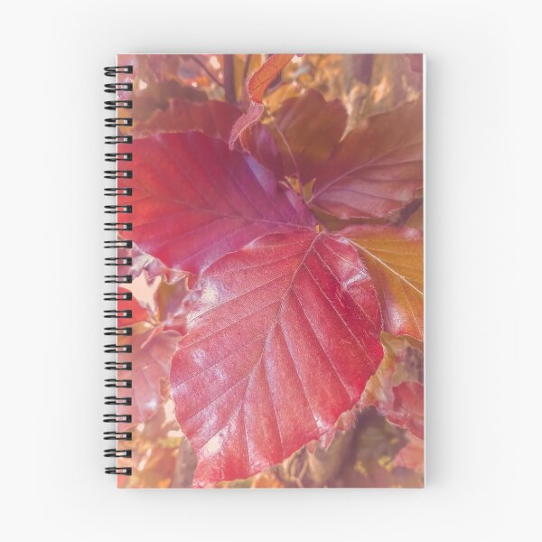 Item preview, West Coast Gardens: Dawyck Purple designed and sold by Chancelrie.
