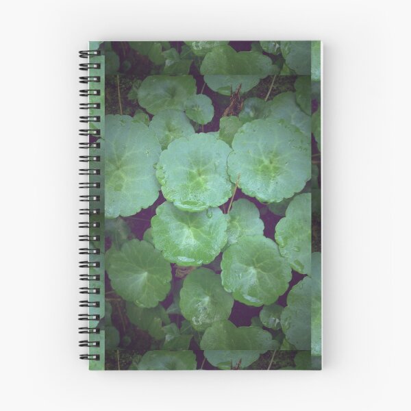 Artikelvorschau, Pennywort Grüns entworfen und verkauft von pixel8it.