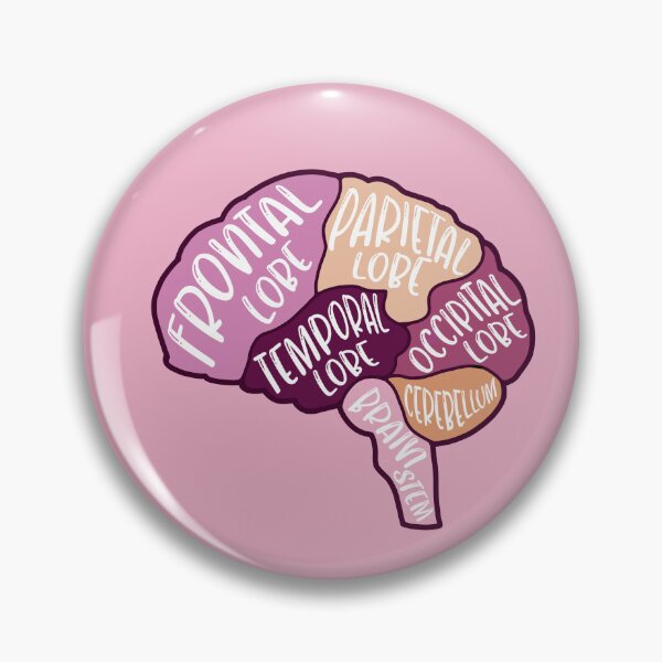 Item preview, Anatomical brain - purple and orange colors designed and sold by Preslava Genova.