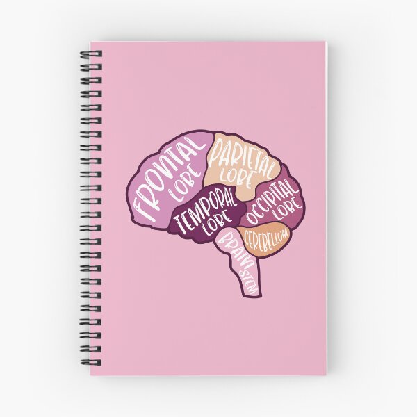Item preview, Anatomical brain - purple and orange colors designed and sold by Preslava Genova.