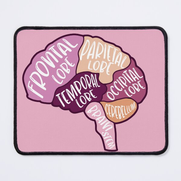 Item preview, Anatomical brain - purple and orange colors designed and sold by Preslava Genova.