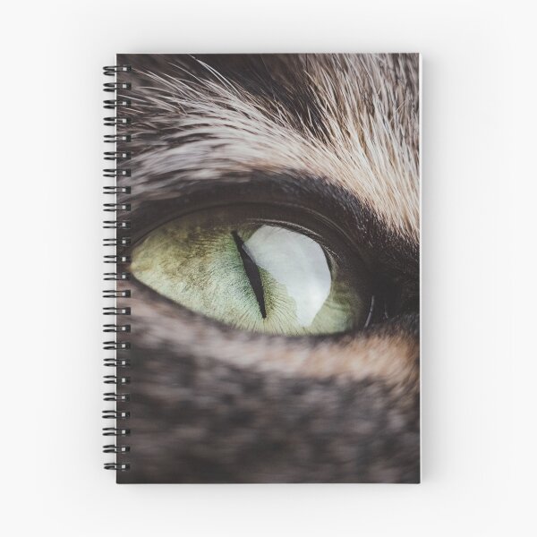 Item preview, Knowing designed and sold by ImageEvolution.