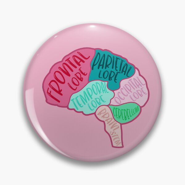 Item preview, Anatomical brain - purple and orange colors designed and sold by Preslava Genova.