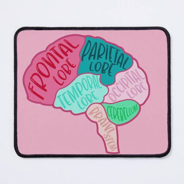 Item preview, Anatomical brain - purple and orange colors designed and sold by Preslava Genova.