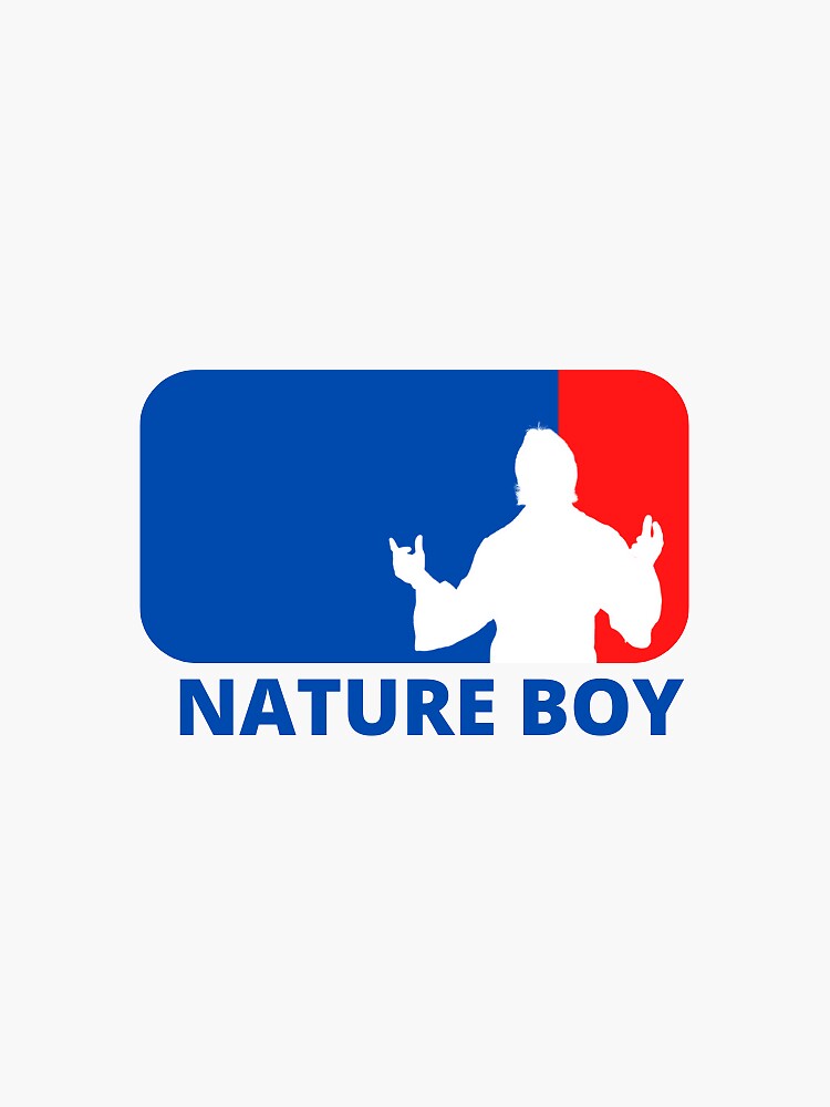 Ric Flair Sticker