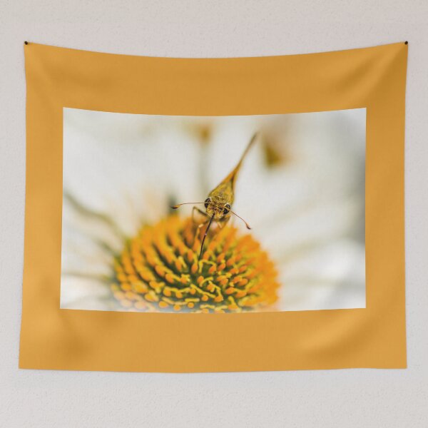 Item preview, Eye To Eye With A Skipper designed and sold by Debra Martz.