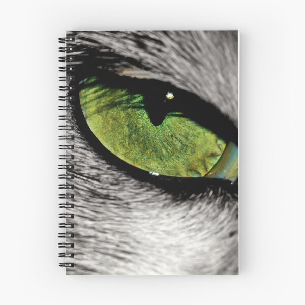 Item preview, Being designed and sold by ImageEvolution.