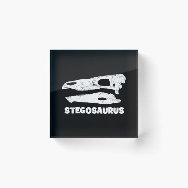 Artikelvorschau, Stegosaurus Fossil Schädel entworfen und verkauft von NicGrayGraphic.