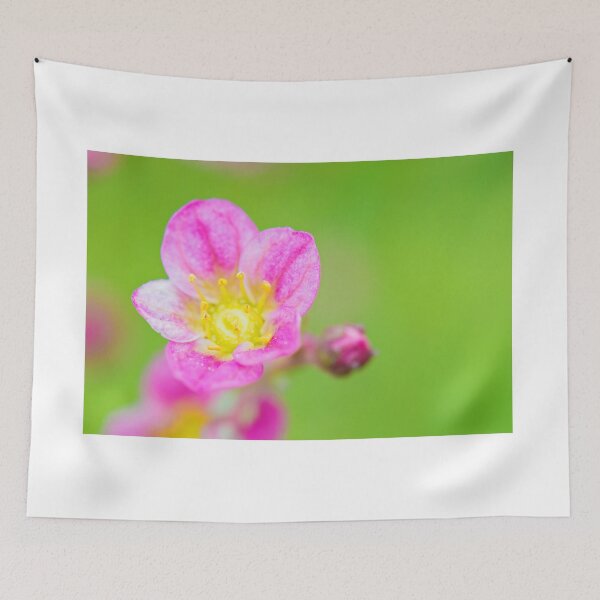 Item preview, Macro pink flawer on green background designed and sold by anytka.