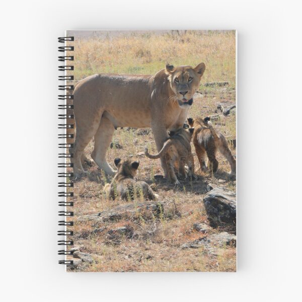 Item preview, Lioness with playful cubs at her feet designed and sold by Jaffs.