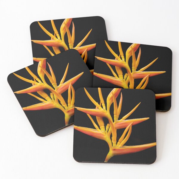Aperçu de l'œuvre Fleur d'héliconia orange sur fond noir créée et vendue par bookofwandering.