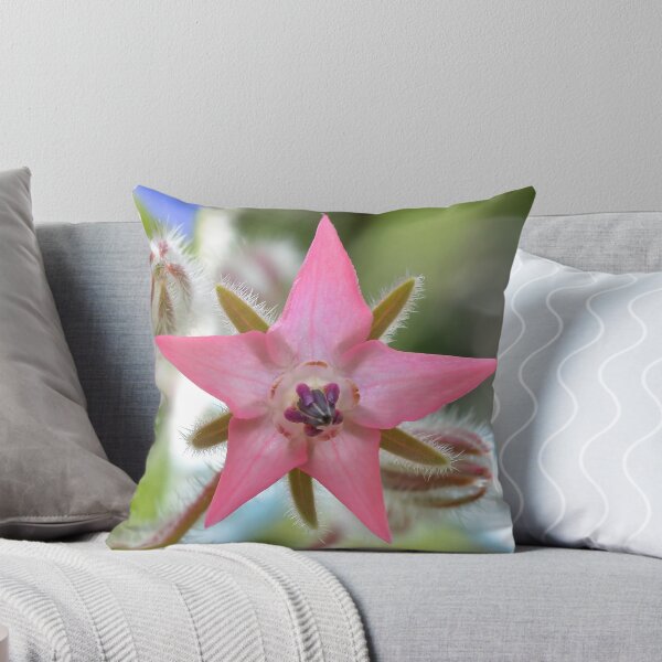 Item preview, Pink Borage Flower designed and sold by relayer51.