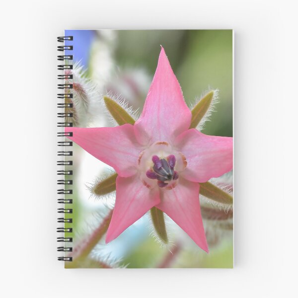 Item preview, Pink Borage Flower designed and sold by relayer51.