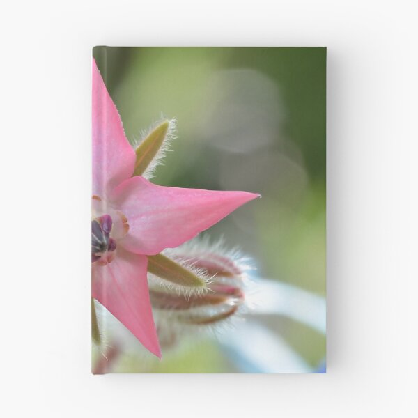 Item preview, Pink Borage Flower designed and sold by relayer51.