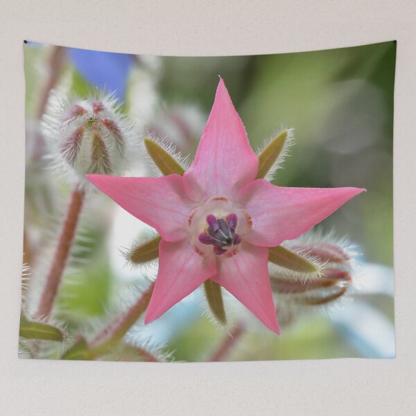 Item preview, Pink Borage Flower designed and sold by relayer51.