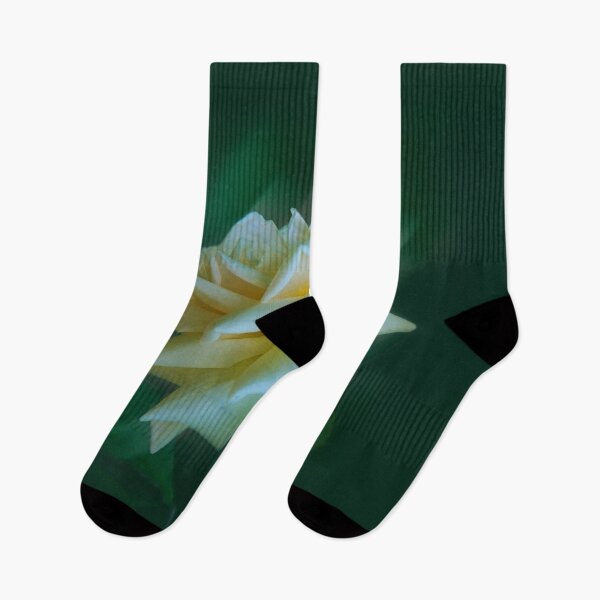 Item preview, Elegant, white bush rose with diagonal stripes designed and sold by Brunhilde1001.