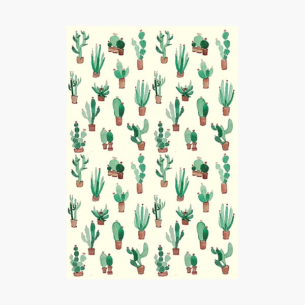 cactus Photographic Print