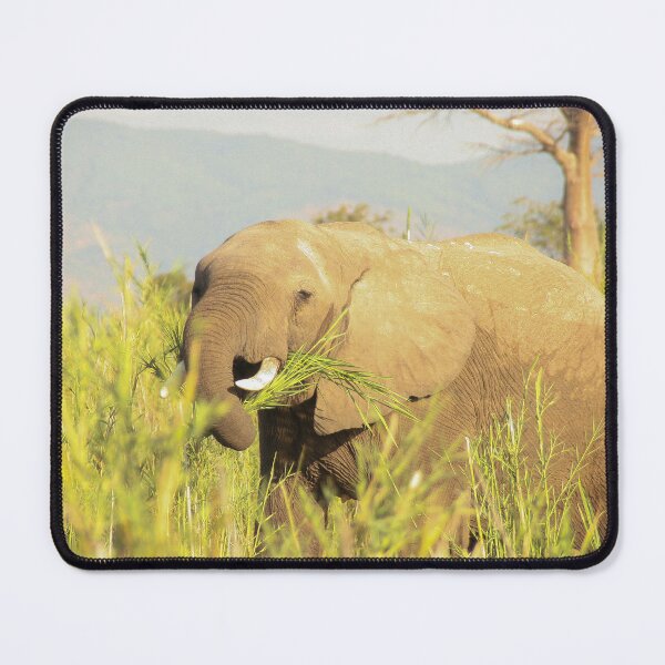 Item preview, African elephant 2 designed and sold by KikiSmile.