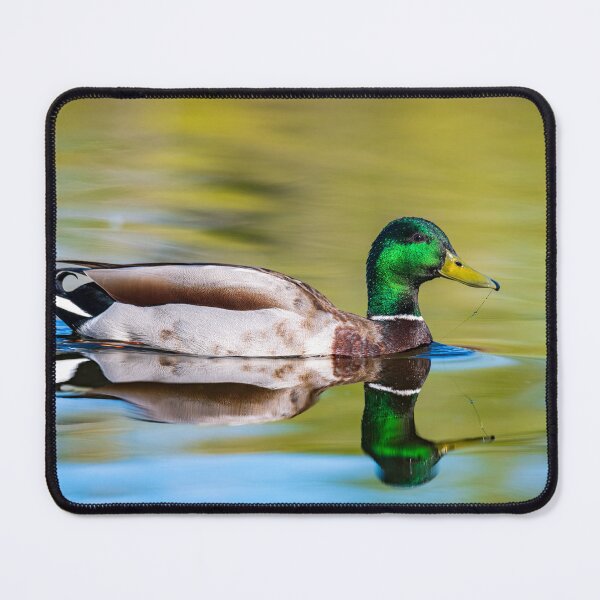 Item preview, Reflect designed and sold by Greg Birkett.