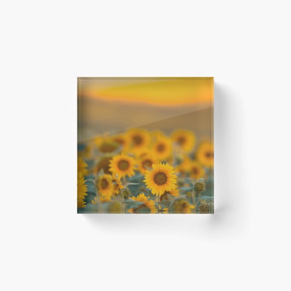 Item preview, Sunflowers designed and sold by Catrinann.