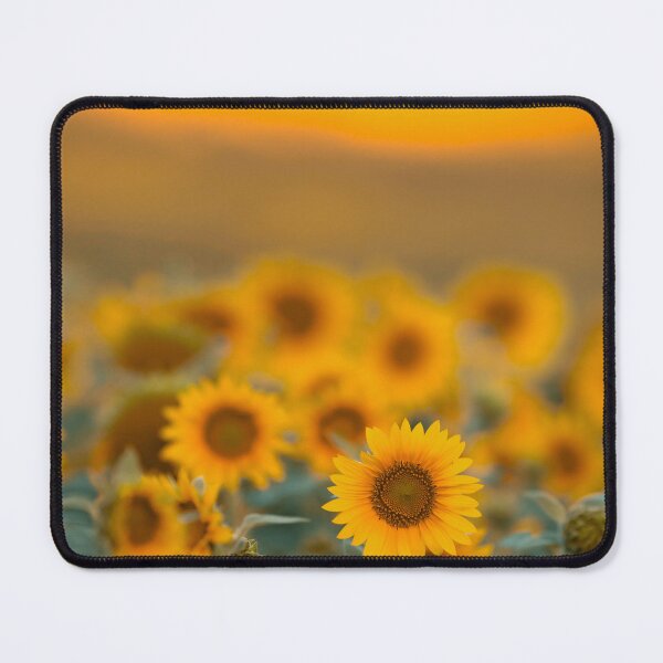 Item preview, Sunflowers designed and sold by Catrinann.