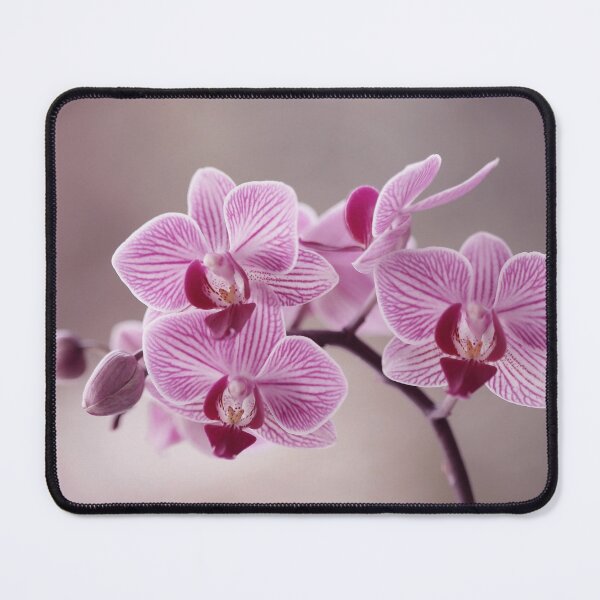 Item preview, Orchidea designed and sold by Catrinann.
