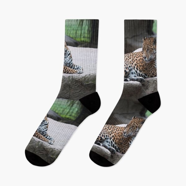 Item preview, Wild Jaguar designed and sold by newburyboutique.