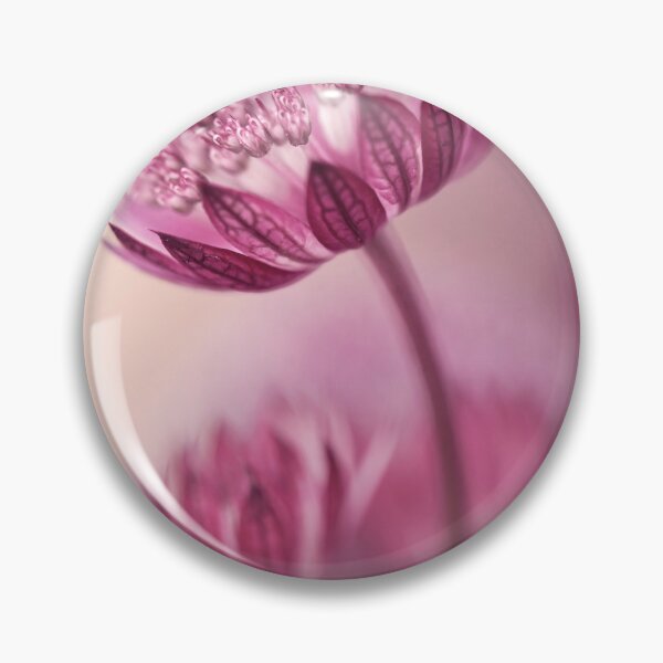 Item preview, Astrantia flowers designed and sold by Catrinann.